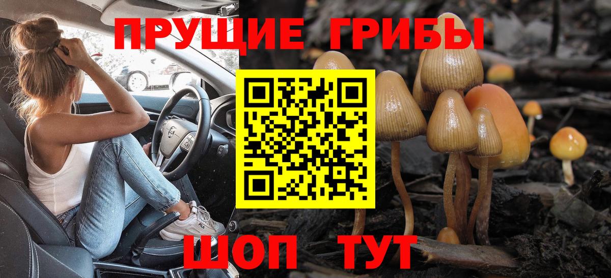 Псилоцибиновые грибы MAGIC MUSHROOMS  Вход с VPN  Нижний Новгород 