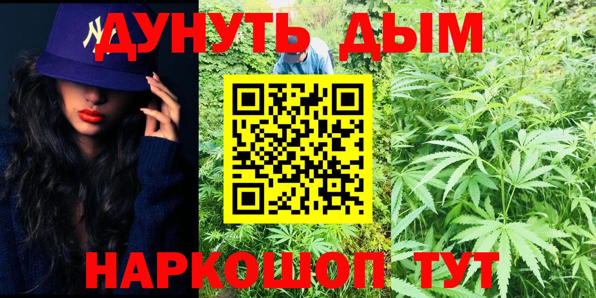 Каннабис сатива Нижний Новгород